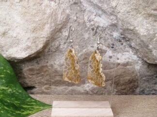 Corail fossilisé Boucles n°1