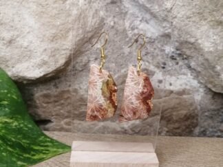 Corail fossilisé Boucles n°3
