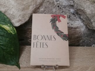 Bonnes Fêtes