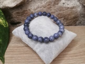 Corail bleu fossilisé Bracelet 8mm