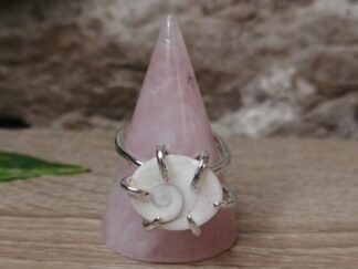 Oeil de Sainte Lucie Bague n°2